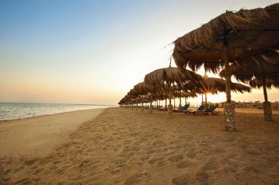 ستوديو للبيع في موسى كوست