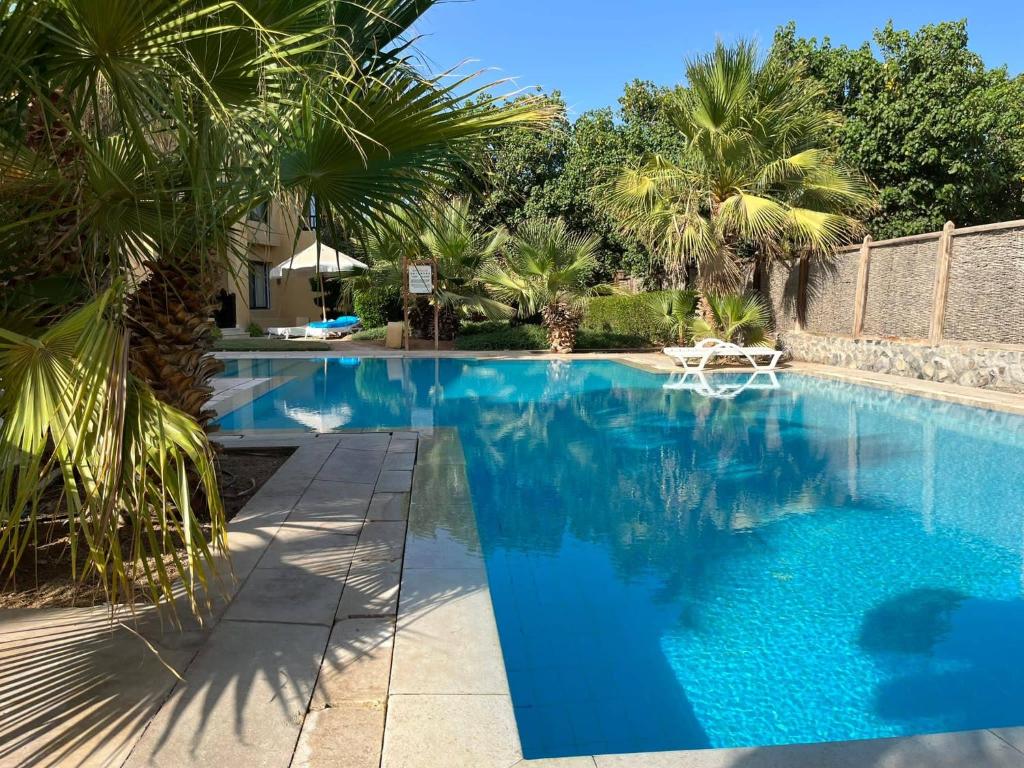 شقة للبيع في الجونة – الغردقة